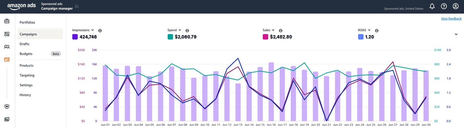 Home & Kitchen Brand: 240% ROAS Improvement - Before